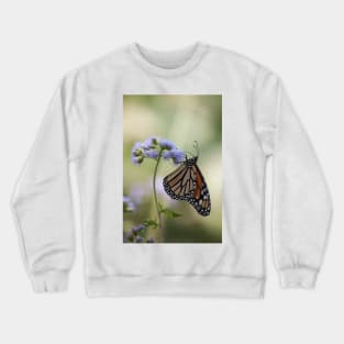 Migration Series Crewneck Sweatshirt